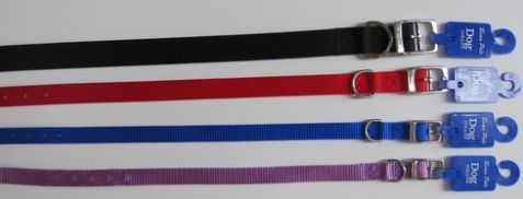 Nylon Dog & Cat Collars